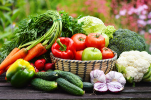 Variety of fresh organic vegetables in the garden